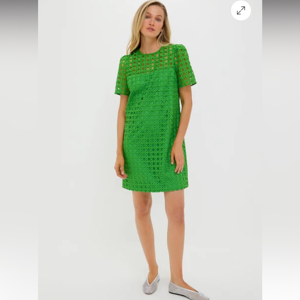 Tuckernuck Janelle Dress in Green Cane Lace- Sheath Mini Dress NWT